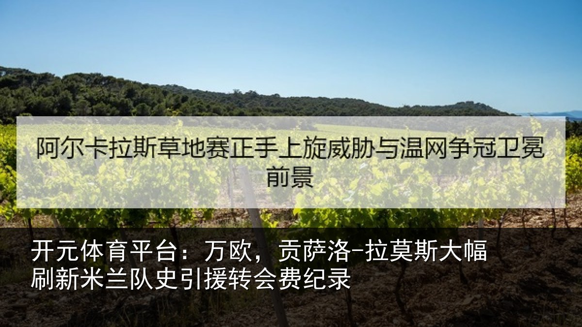 开元体育平台：万欧，贡萨洛-拉莫相关情况史引援转会费纪录