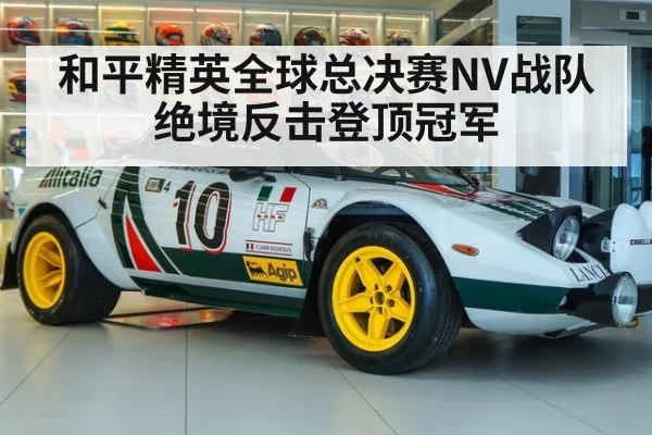 和平精英全球总决赛NV战队绝境反击登顶冠军