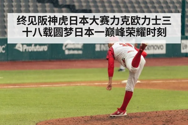 终见阪神虎日本大赛力克欧力士三十八载圆梦日本一巅峰荣耀时刻